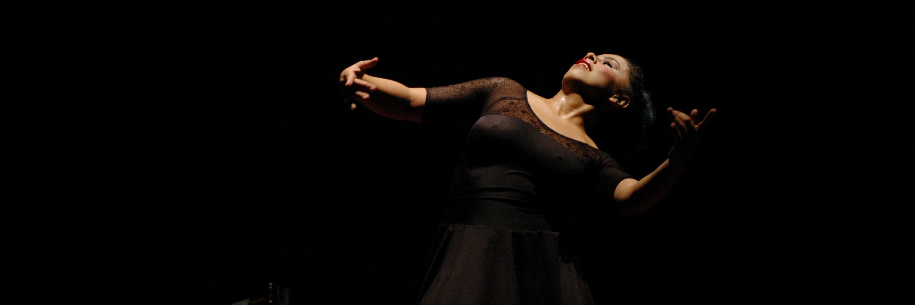 escudanza's profile banner image