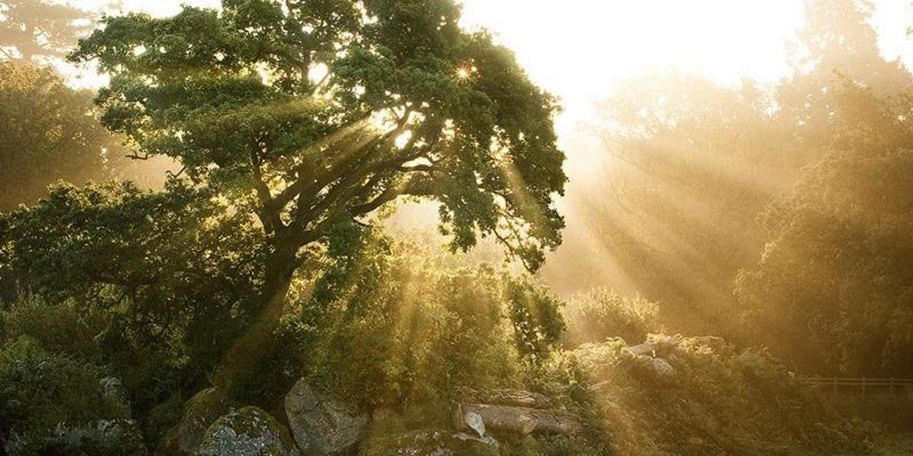 43hisar's profile banner image