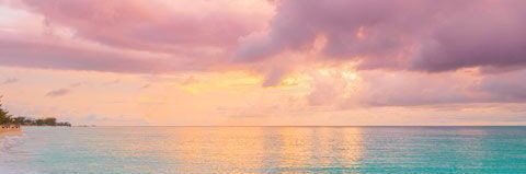 AVOGRAY's profile banner image