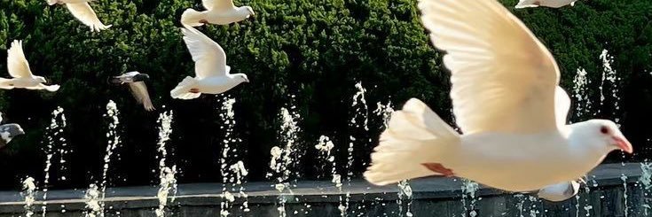 imrrw's profile banner image