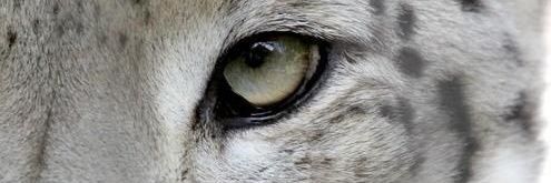 Mariagocc's profile banner image