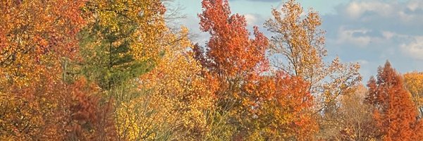 AMPRO4ALL Profile Banner