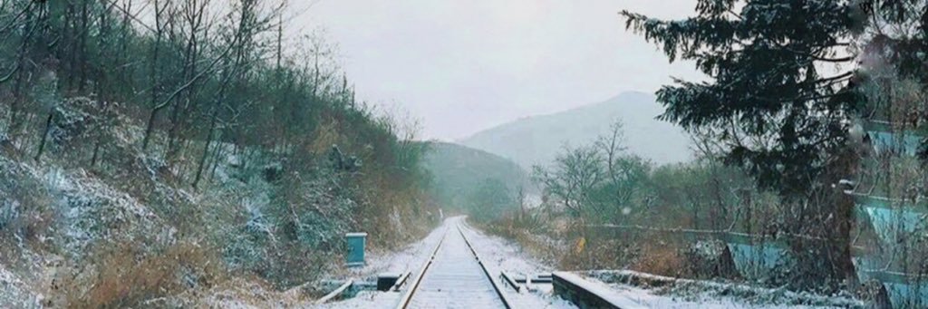 HappyCarrotBabe's profile banner image
