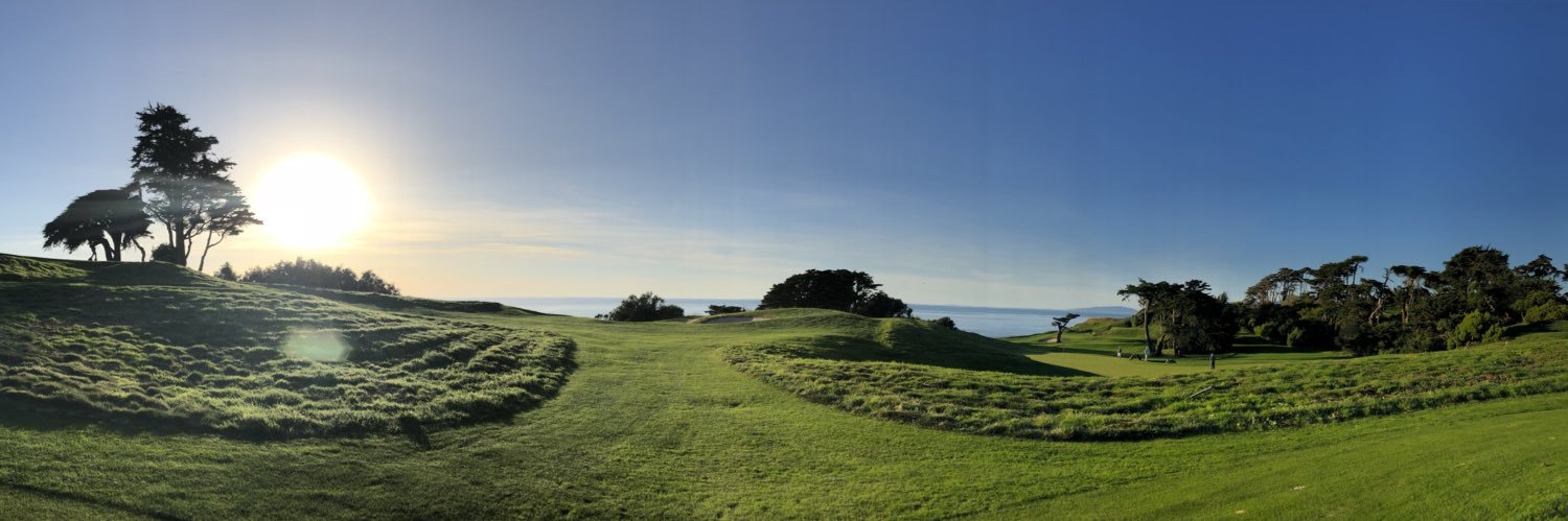 Stephanie Moriarty banner