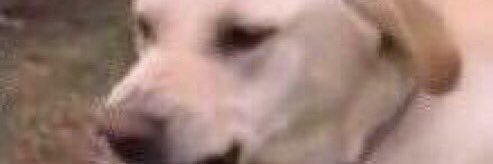 __adamL's profile banner image