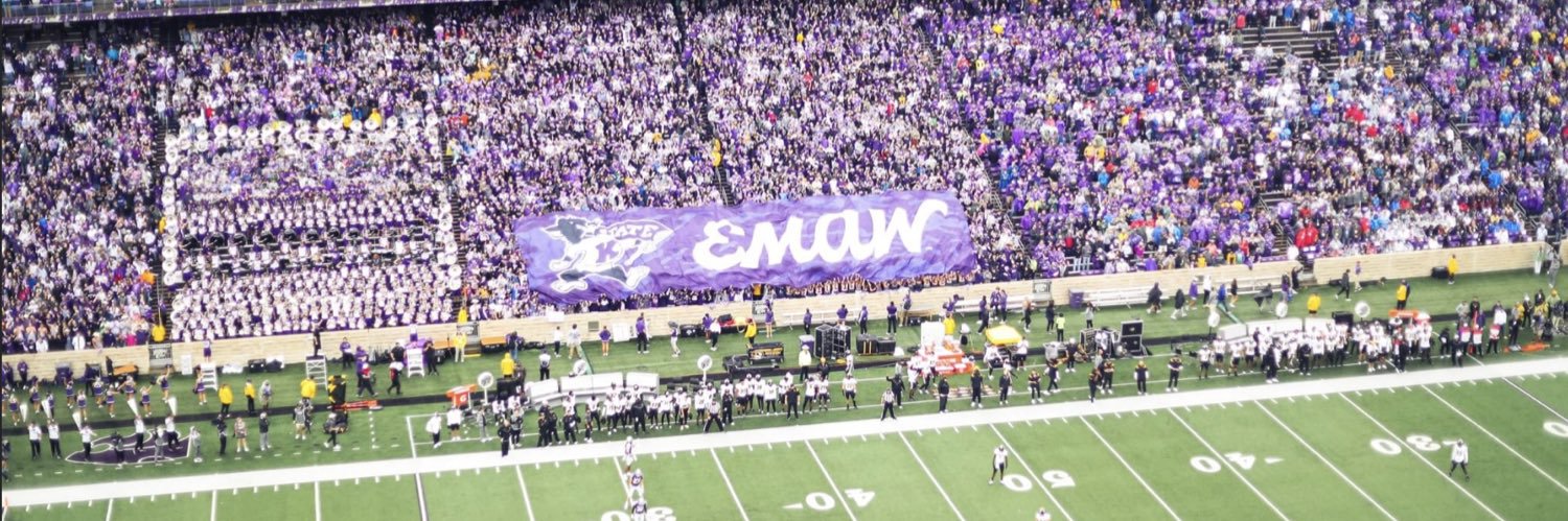 Edward Radulescu banner