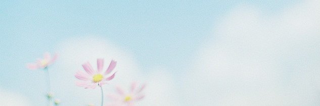 FloraColorStyle's profile banner image
