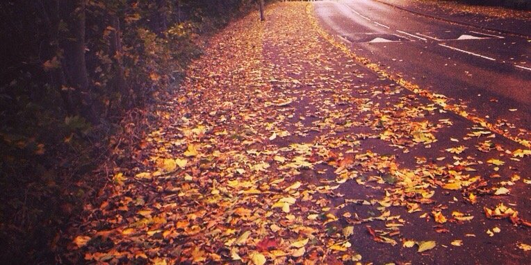 ☮Helen-Violet⚓ banner