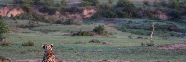 GmailNanci Profile Banner