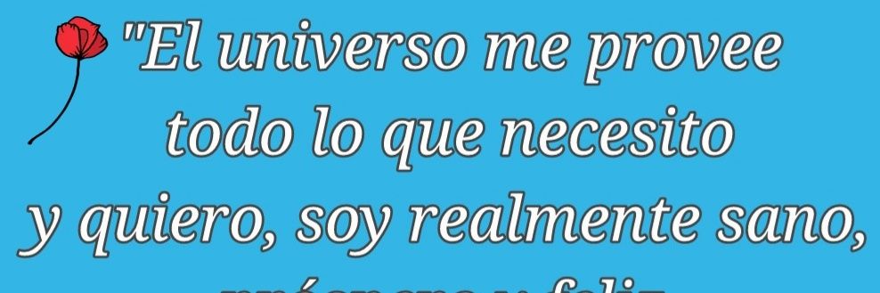 silvia mery banner