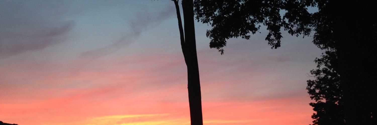 janikk_1's profile banner image