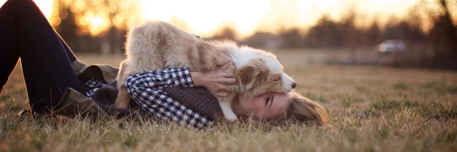 Carosmith12's profile banner image