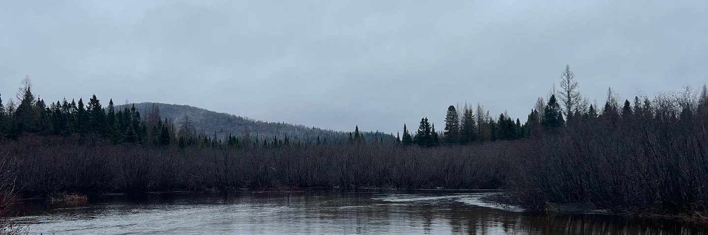spatton_'s profile banner image