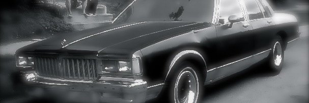 LindsPhotos's profile banner image