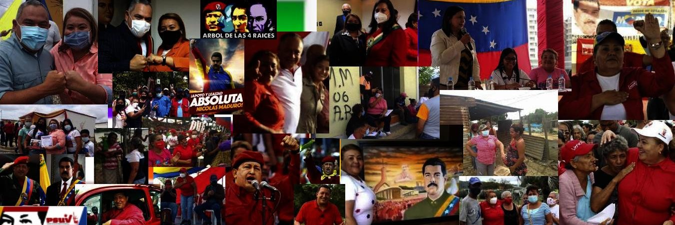 Teresa Linarez PSUV banner
