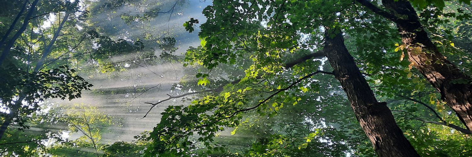 Carrie Aulenbacher banner