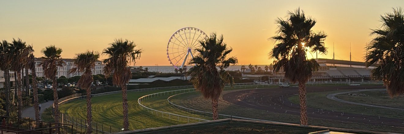 🧚🏾‍♀️ banner