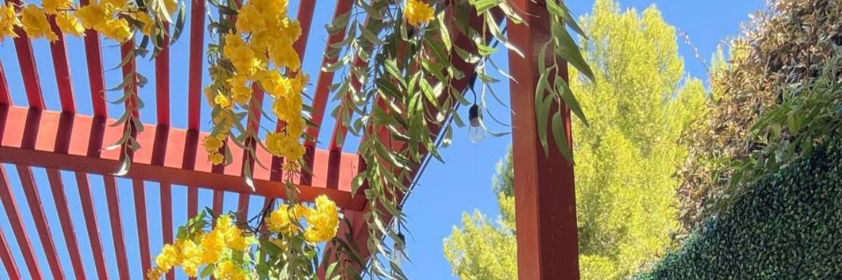 whereverurtaee's profile banner image