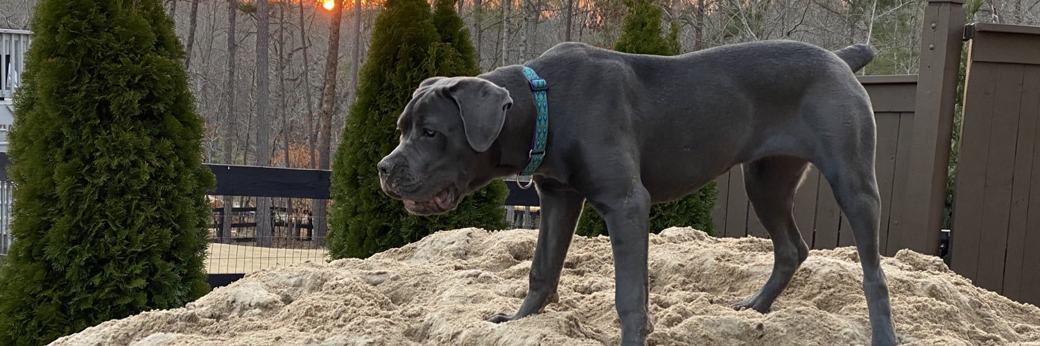 kandrewski's profile banner image