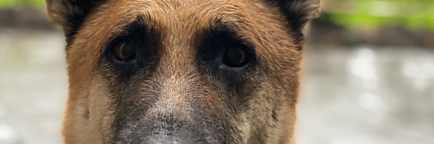 jbrar_'s profile banner image