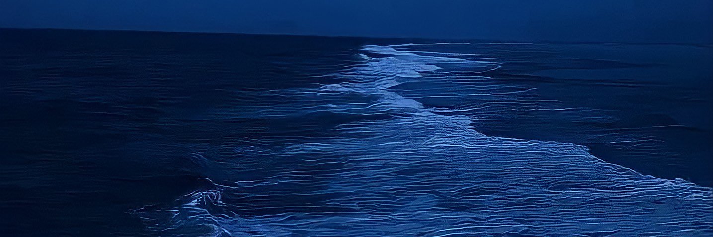 RoyBerkati's profile banner image