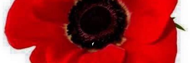 ps1087's profile banner image