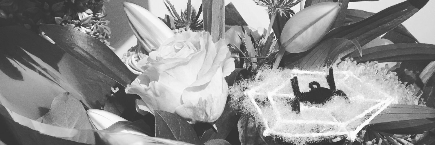 Carly_Marie1's profile banner image