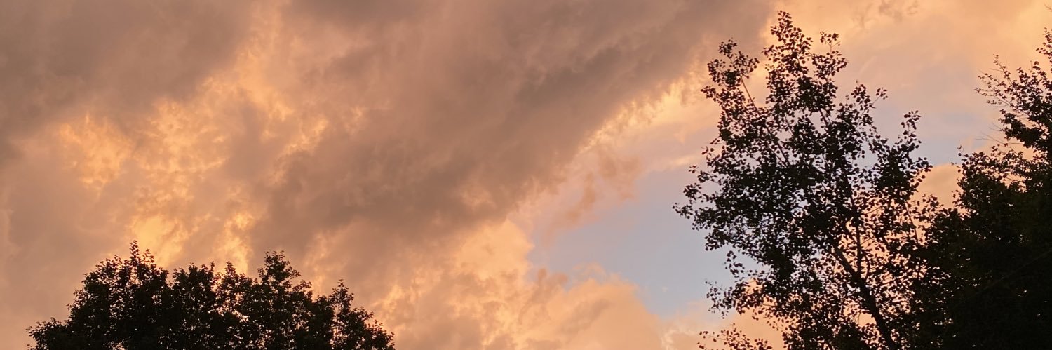 Maddyson_Lee's profile banner image