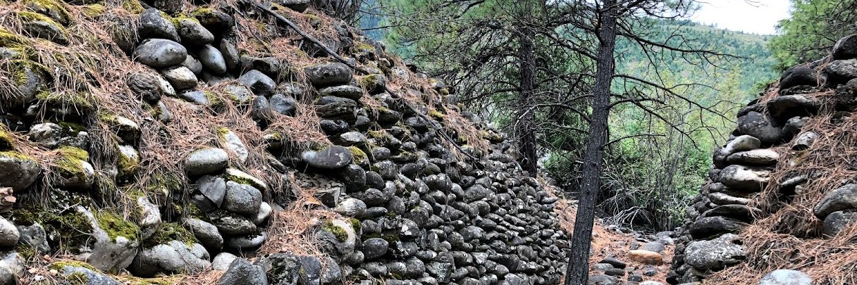 Paula Waatainen banner