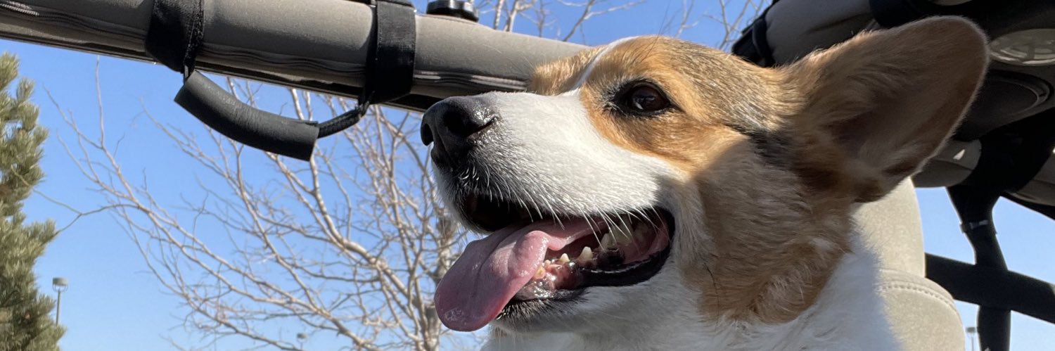 JessMire23's profile banner image