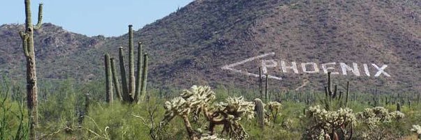 PHX🐦‍🔥 banner
