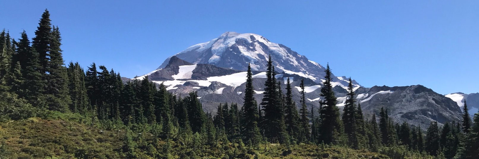 Norm Johanson banner