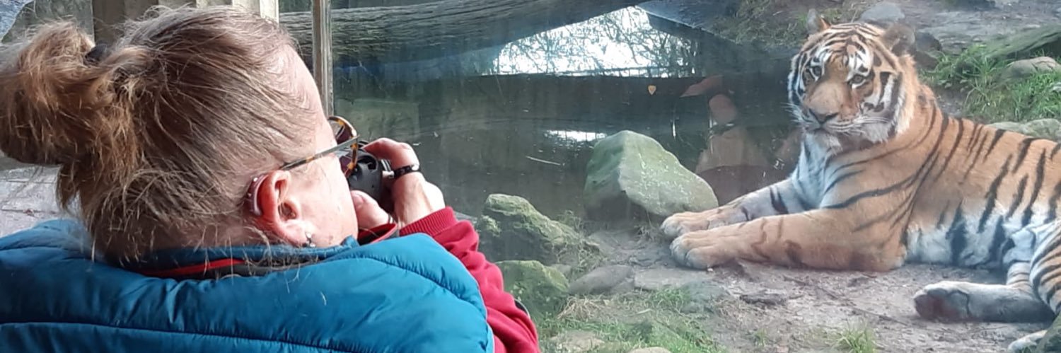 🦥 Marjan 🦥 banner