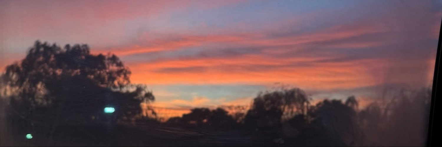 nicodicodine_'s profile banner image
