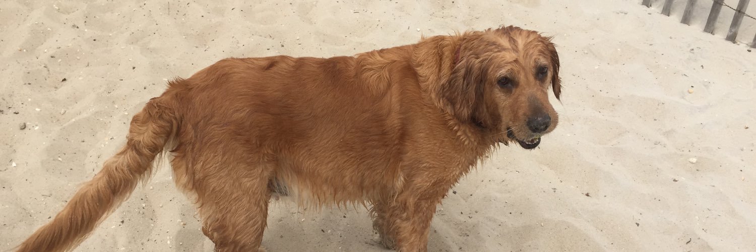 Barry Fitzgerald Sr banner