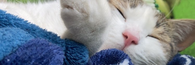 IEstefaniaaa's profile banner image