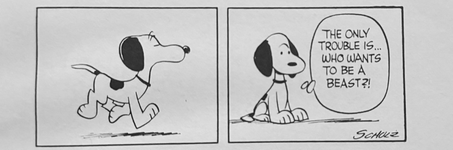 shaken, not understood banner