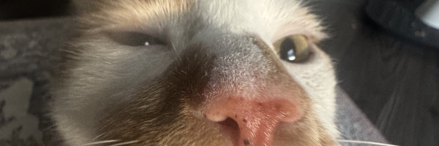 whadduppcat's profile banner image