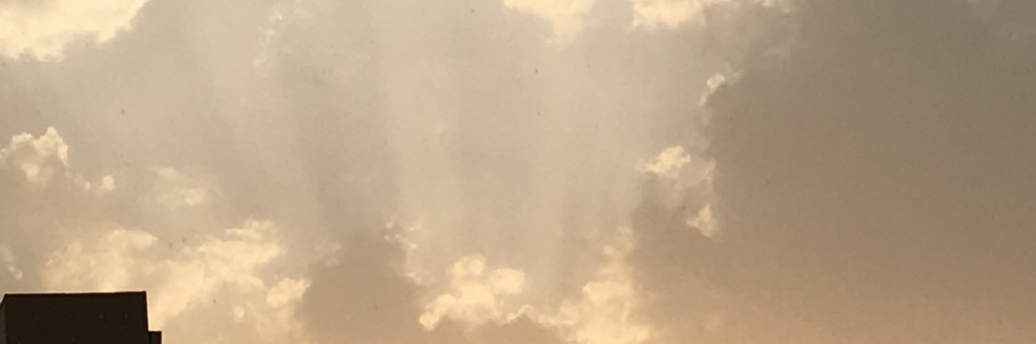 hushibry's profile banner image