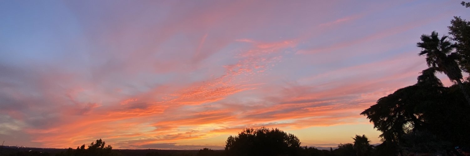 LauraaSc's profile banner image
