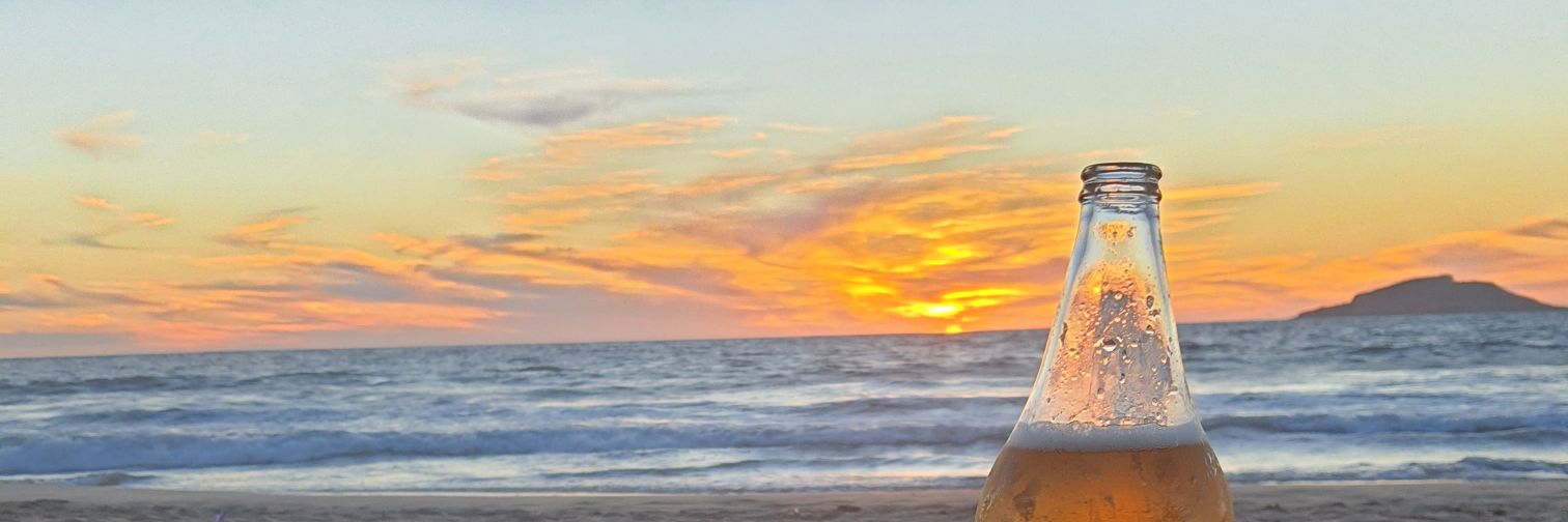 NoMamesFernanda's profile banner image