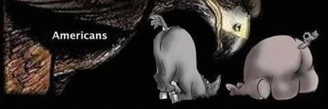robertbasina's profile banner image