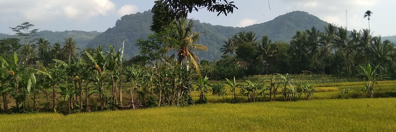Maulidasilaa's profile banner image