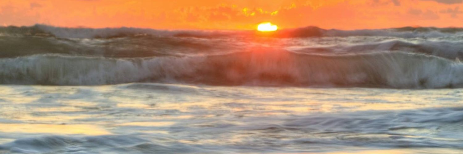 ldossey's profile banner image