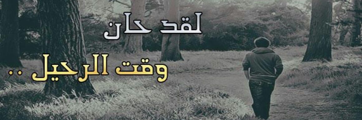 R7il_7o's profile banner image