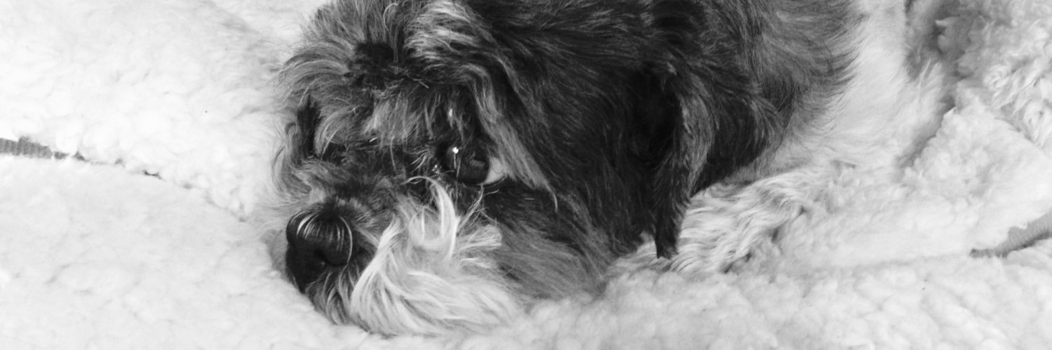 mpaula_cs's profile banner image