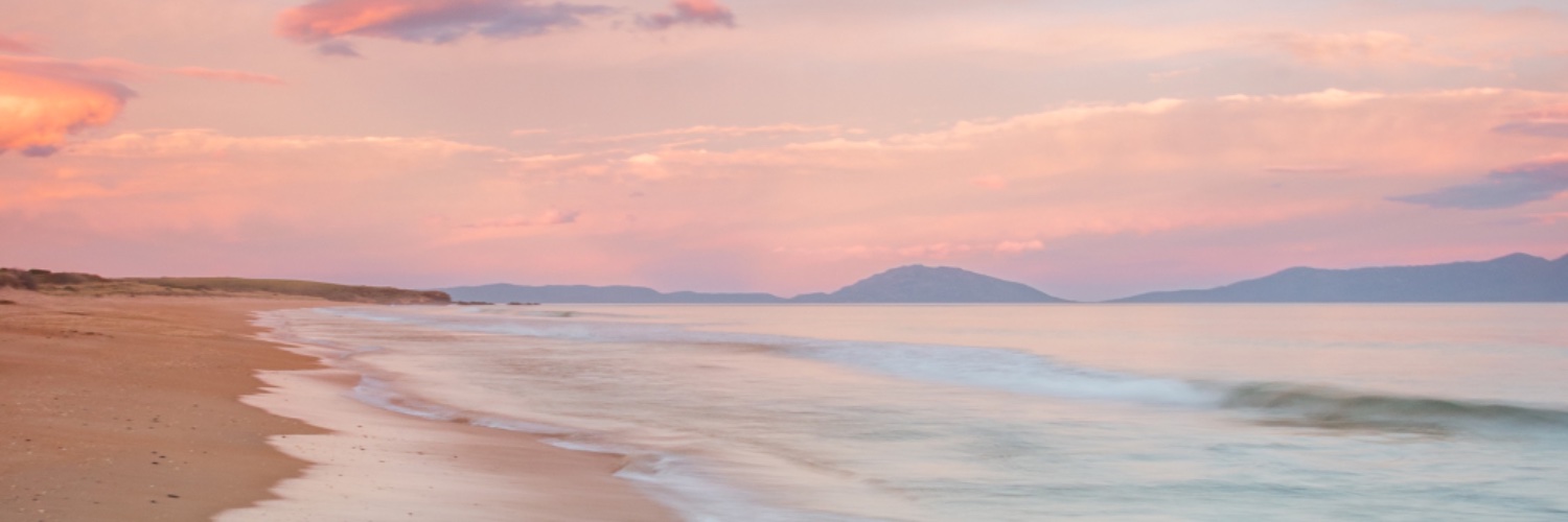 thepeachqween's profile banner image