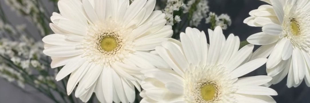 bubu_y's profile banner image