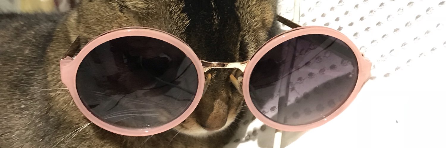 frog consultant banner