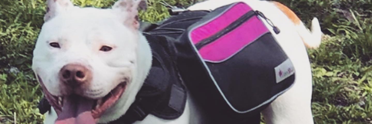 blackbonee_'s profile banner image